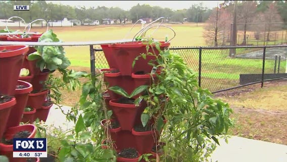Tampa Parks and Recreation expands garden offerings