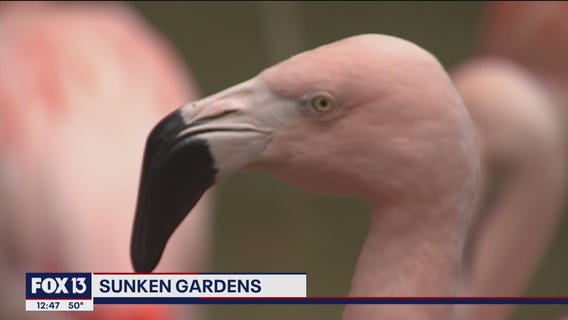 Bringing the past into the future at Sunken Gardens