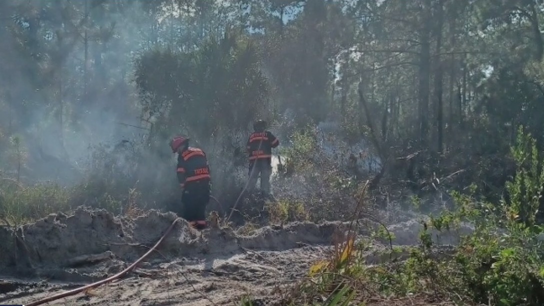 Arson suspected in North Port brush fires | FOX 13 Tampa Bay