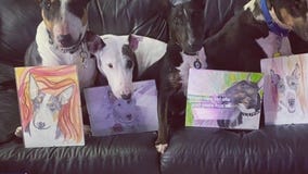 Woman devotes life to taking care of terminally ill dogs