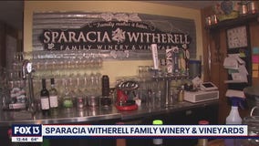 Sitting on top at Sparacia Witherell Family Winery and Vineyards