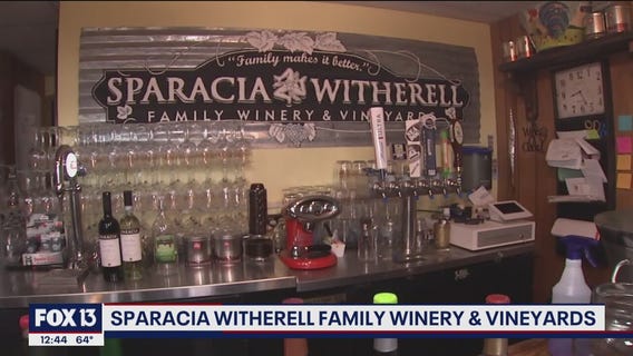 Sitting on top at Sparacia Witherell Family Winery and Vineyards