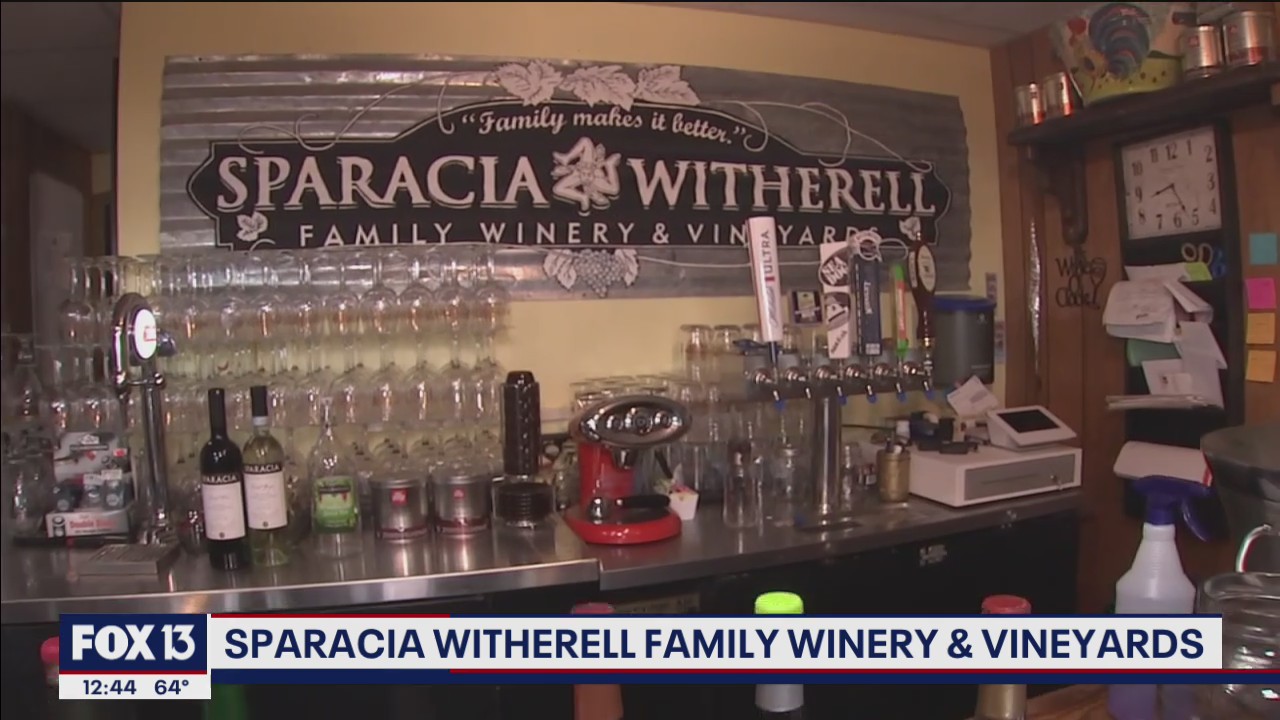 Sitting on top at Sparacia Witherell Family Winery and Vineyards