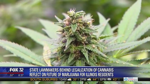 The state of recreational marijuana in Illinois one week after legalization