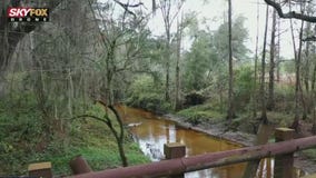 Drone Zone: Lower Green Swamp Nature Preserve