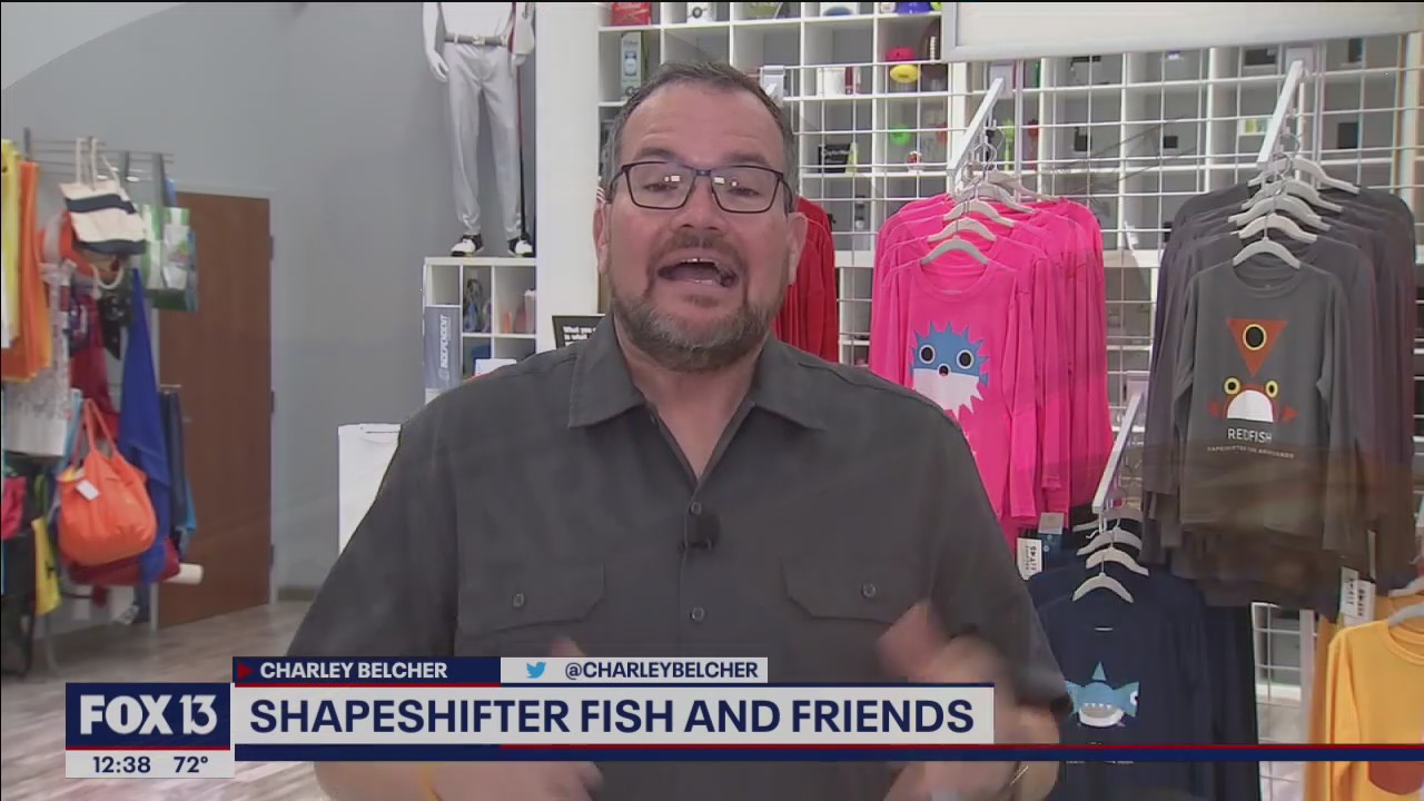 Shapeshifter Fish and Friends created after 'happy accident'