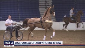 See horses from around the country compete for free this week