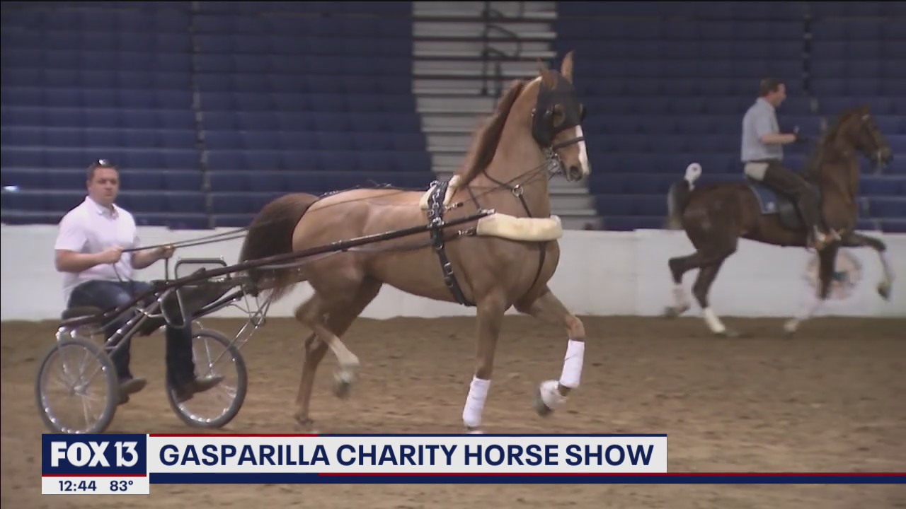 See horses from around the country compete for free this week