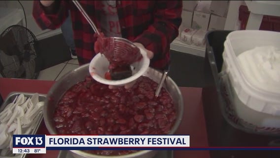 It's a berry special day in Plant City