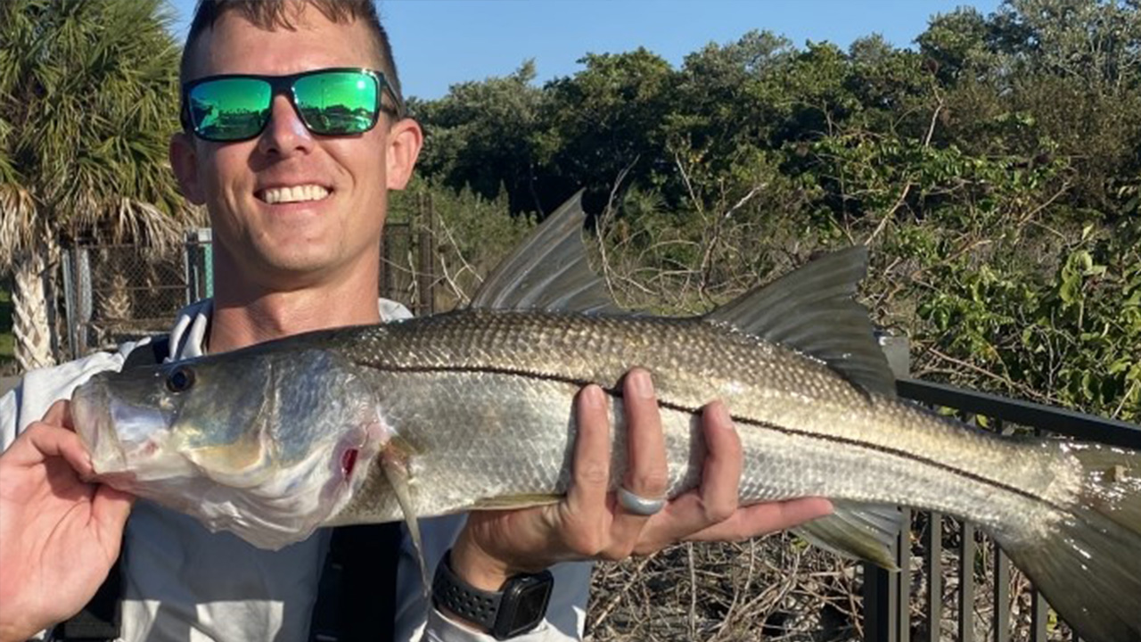 As weather warms, snook are moving around inshore