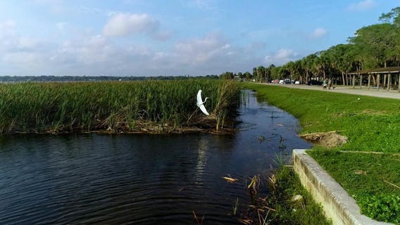 Boyd Hill Nature Preserve is an escape from the city life