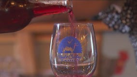 Blueberry is the star of this annual festival