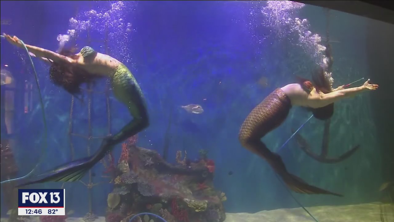 Mermaid dreams brought to life in Lecanto