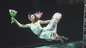 Local sports photographer takes his camera underwater to get through the pandemic