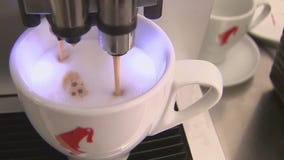 Authentic German pastries made from scratch daily in Plant City