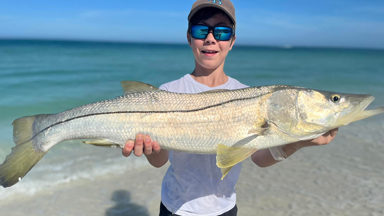 Snook action heating up along beaches