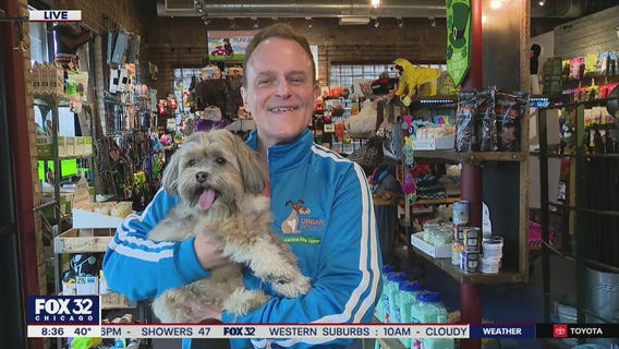 Local businesses forced to make tough decisions during 'stay-at-home' order