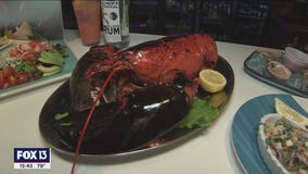 Experience a culinary adventure with Tampa Bay Food Tours