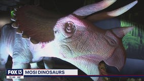 Historically accurate dinosaurs at Museum of Science and Industry exhibit
