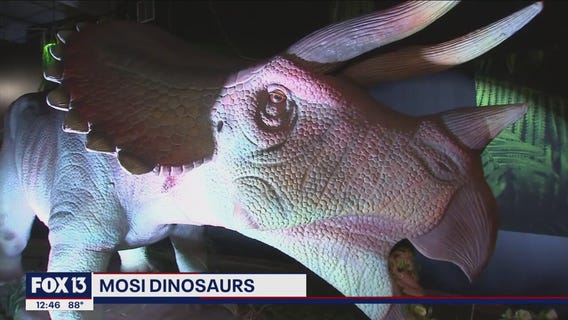 Historically accurate dinosaurs at Museum of Science and Industry exhibit