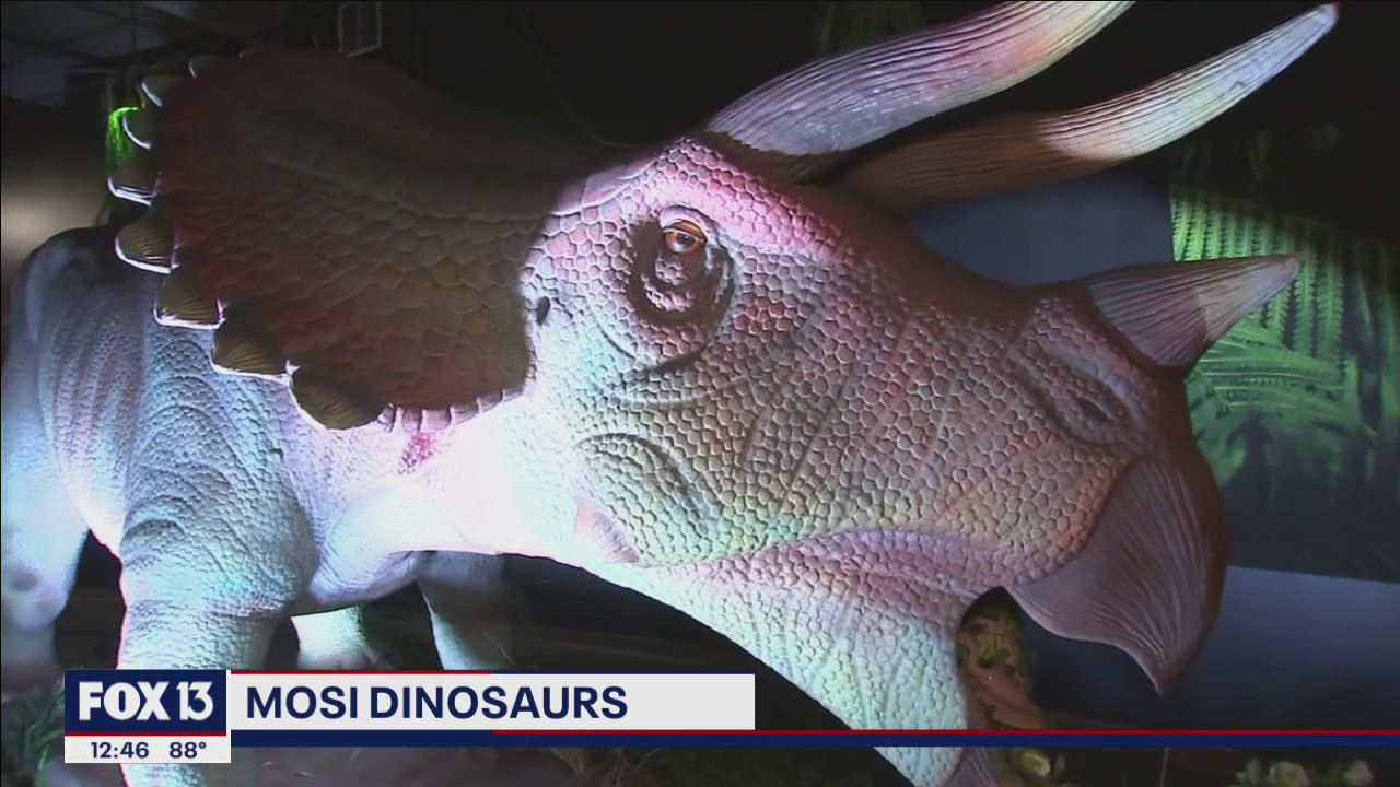 Historically accurate dinosaurs at Museum of Science and Industry exhibit