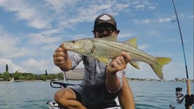 New moon means anglers should target areas with artificial lights