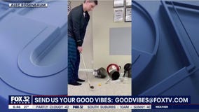 Good Vibes: Wednesday, April 15