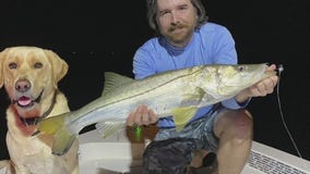 Inshore is ?loaded with snook?