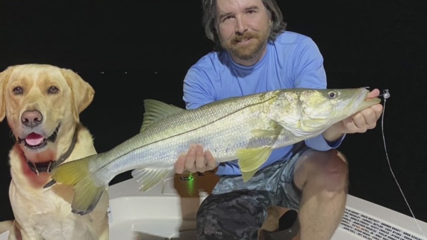 Inshore is ?loaded with snook?