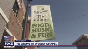 Food, music, and fun at The Grove at Wesley Chapel