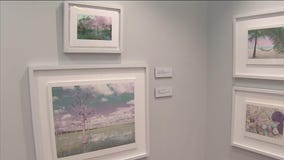 Nature's beauty through the eyes of Niki Butcher