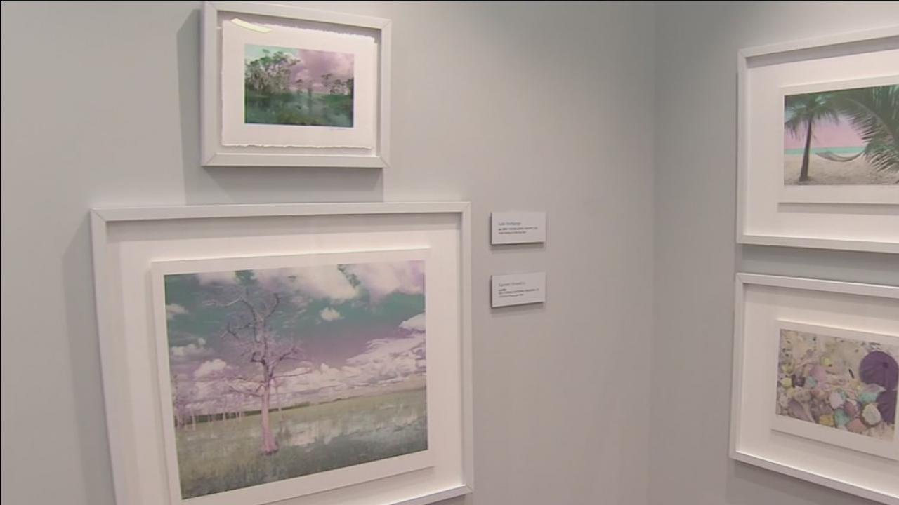 Nature's beauty through the eyes of Niki Butcher