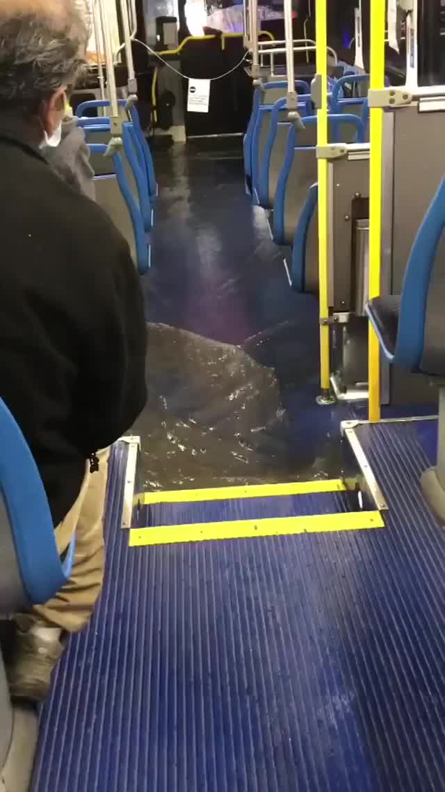 Water swamps CTA bus during Chicago's flash flood warning