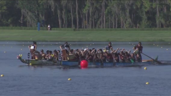 Hundreds of paddlers head to Sarasota for Dragon Boat championships