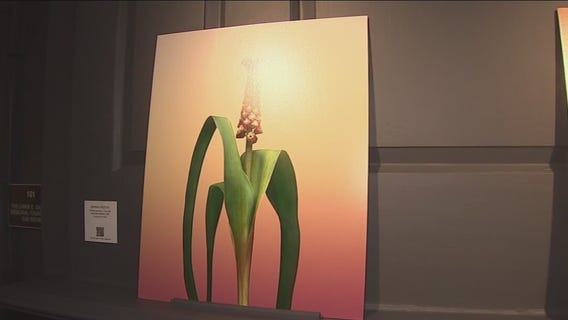 Selby Gardens exhibit shows off dozens of floral photos