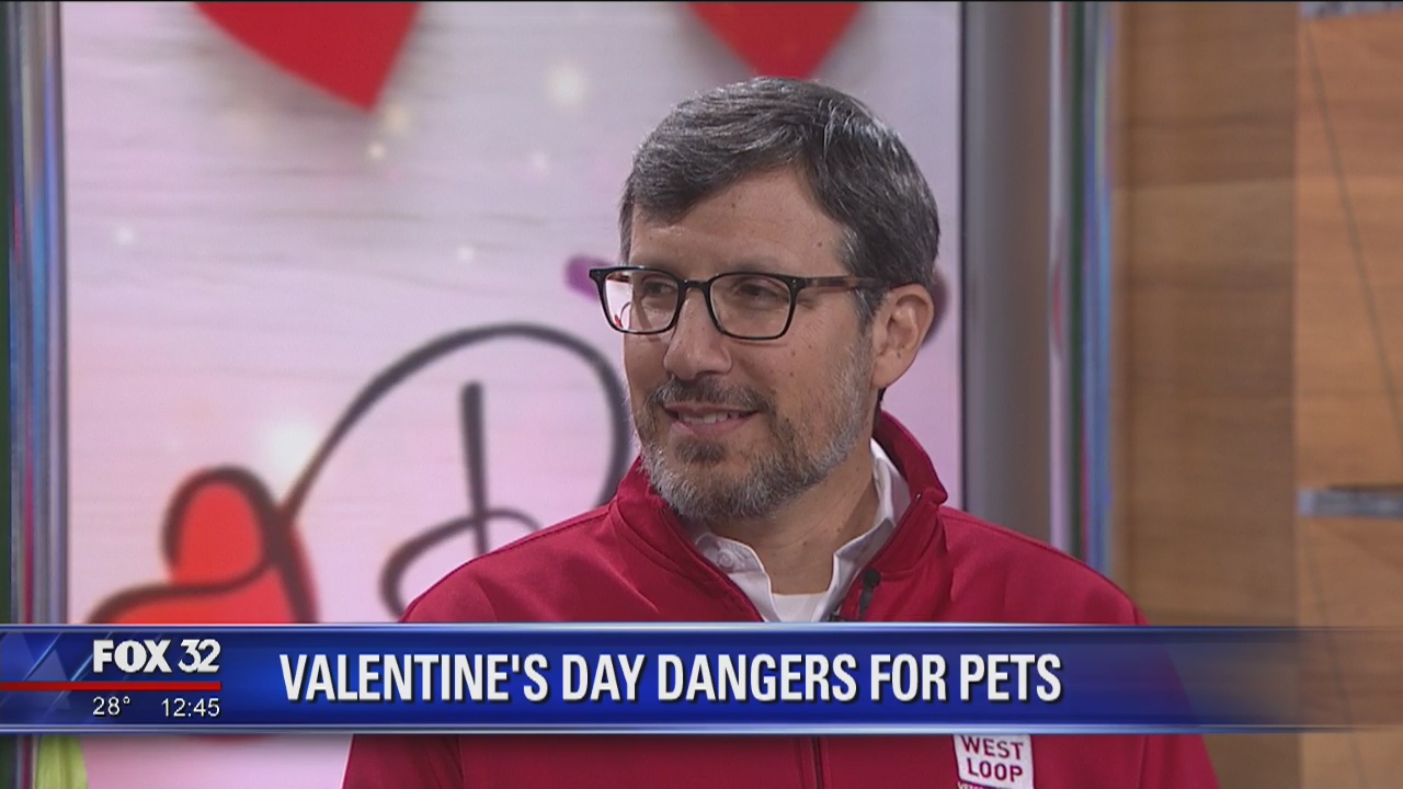 Valentine's Day dangers for your pets