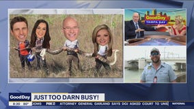 Redfish biting inshore along the mangrove lines