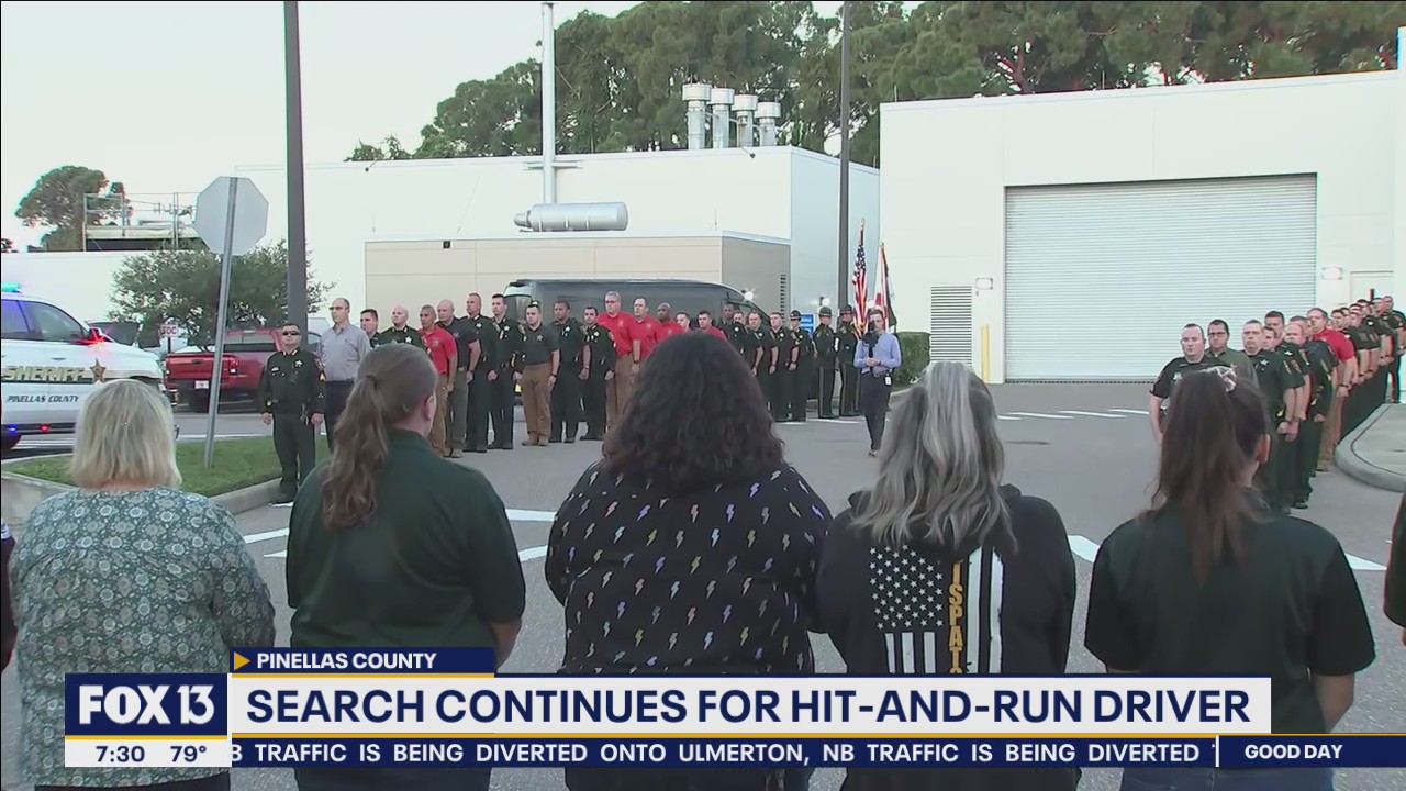 Search for suspect who hit and killed Pinellas deputy on I-275 | FOX 13 ...