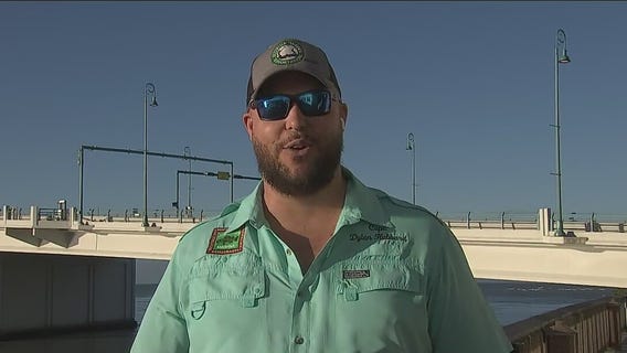 How did Hurricane Ian impact the Gulf, Tampa Bay fish?