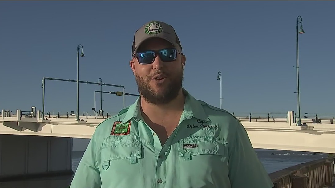 How did Hurricane Ian impact the Gulf, Tampa Bay fish?