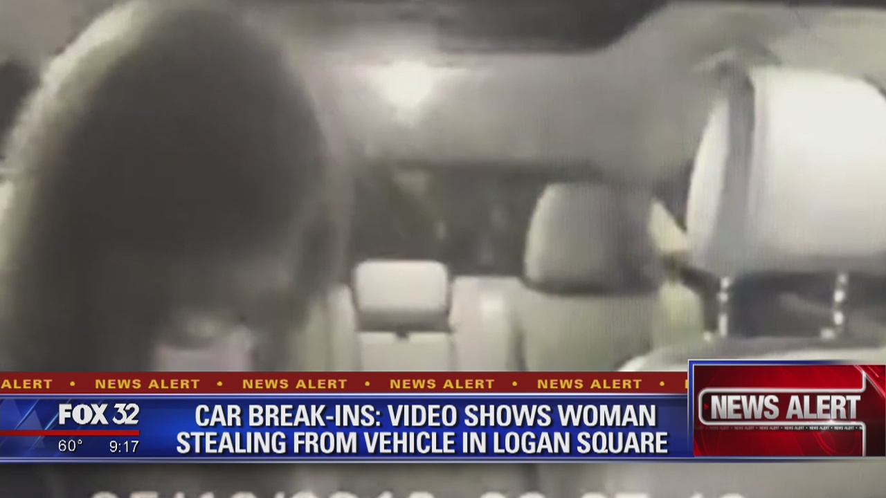 Video appears to show woman stealing from car in Logan Square
