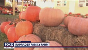 Seasonal fun at Raprager Family Farm in Odessa
