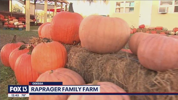 Seasonal fun at Raprager Family Farm in Odessa