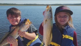 How cold fronts impact fishing in Tampa Bay