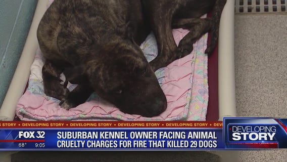 Operator of suburban kennel charged in fire that killed 29 dogs