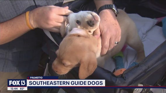 Unseen worlds experience open at Southeastern Guide Dogs