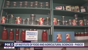 University of Florida extensions customize education for each county