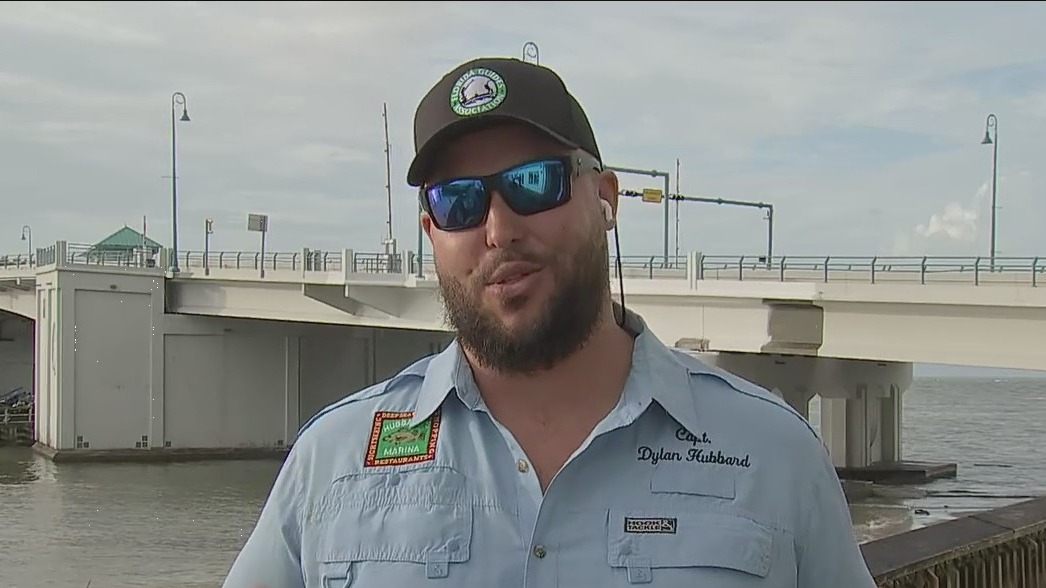 Nicole?s impact on the Bay Area fish