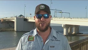 Sheepshead become ?aggressive? during cooler weather