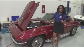 Car collection auction happening in Seffner